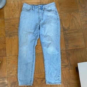 Madewell the perfect vintage jeans